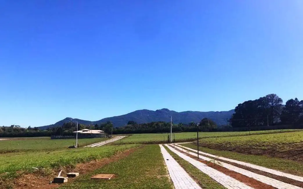 Foto 4 de Terreno / Lote à venda, 1000m2 em Joanopolis - SP