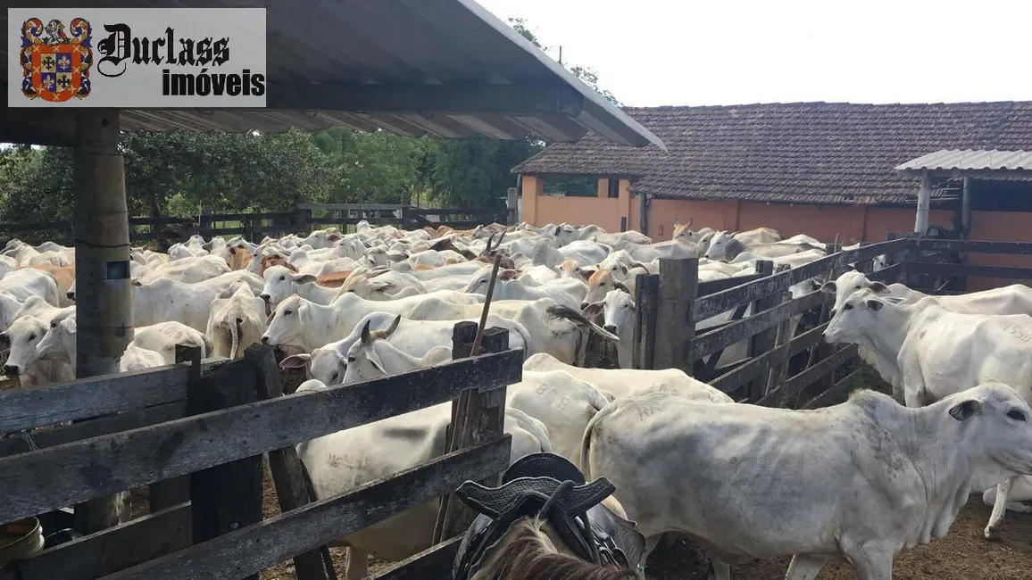 Foto 6 de Fazenda / Haras à venda, 1258400m2 em Araruama - RJ