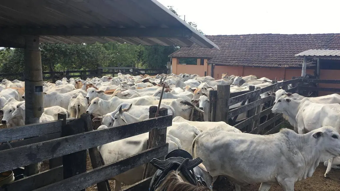 Foto 6 de Fazenda / Haras à venda, 1258400m2 em Araruama - RJ