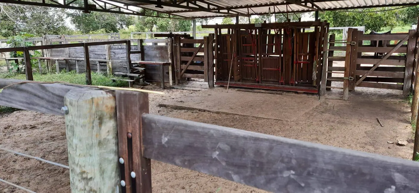 Foto 8 de Fazenda / Haras à venda, 300m2 em Arinos - MG