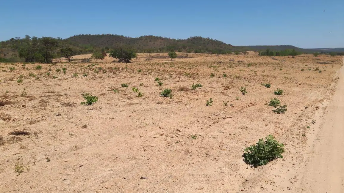 Foto 6 de Fazenda / Haras à venda, 300m2 em Arinos - MG