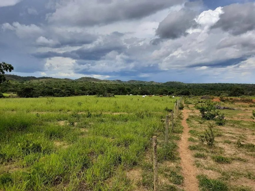 Foto 1 de Fazenda / Haras à venda, 300m2 em Arinos - MG