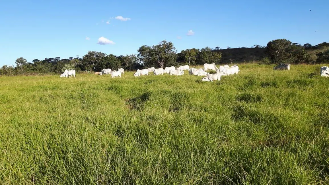 Foto 2 de Fazenda / Haras à venda, 300m2 em Arinos - MG