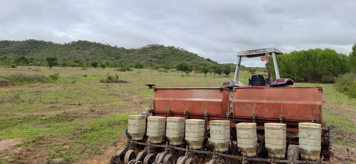 Foto 9 de Fazenda / Haras à venda, 300m2 em Arinos - MG