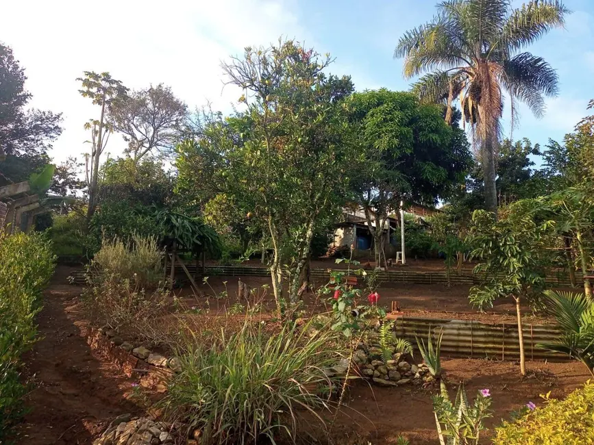 Chácara com 2 quartos à venda, 1000m2 em Pinhalzinho - SP - imagem 7 Foto 7 de Chácara com 2 quartos à venda, 1000m2 em Pinhalzinho - SP