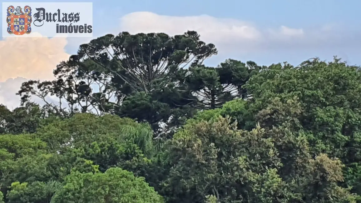 Foto 4 de Sala Comercial à venda, 40000m2 em Caetetuba, Atibaia - SP