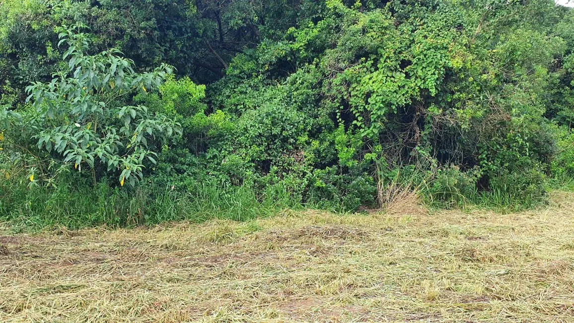 Foto 7 de Sala Comercial à venda, 40000m2 em Caetetuba, Atibaia - SP