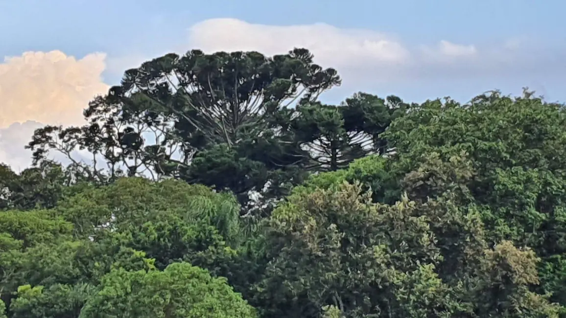 Foto 4 de Sala Comercial à venda, 40000m2 em Caetetuba, Atibaia - SP