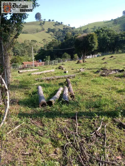 Foto 9 de Chácara com 3 quartos à venda, 5000m2 em Cambui - MG