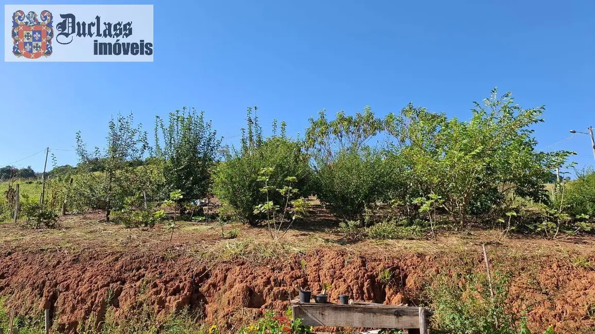 Foto 4 de Chácara com 2 quartos à venda, 5938m2 em Cambui - MG