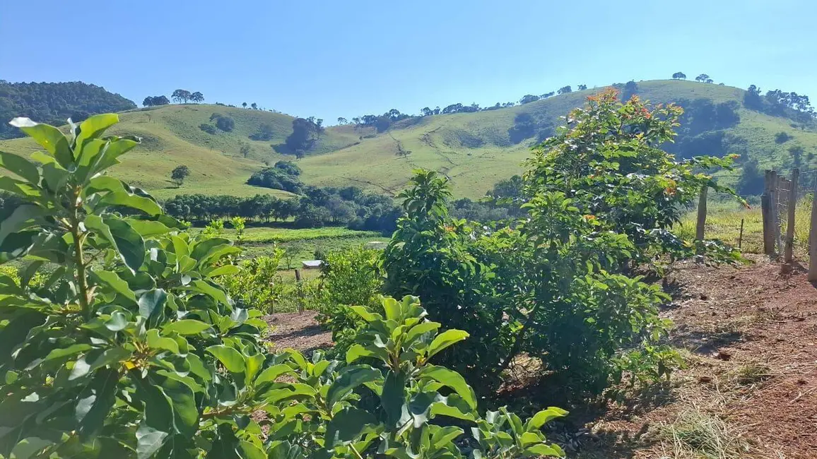 Foto 7 de Chácara com 2 quartos à venda, 5938m2 em Cambui - MG