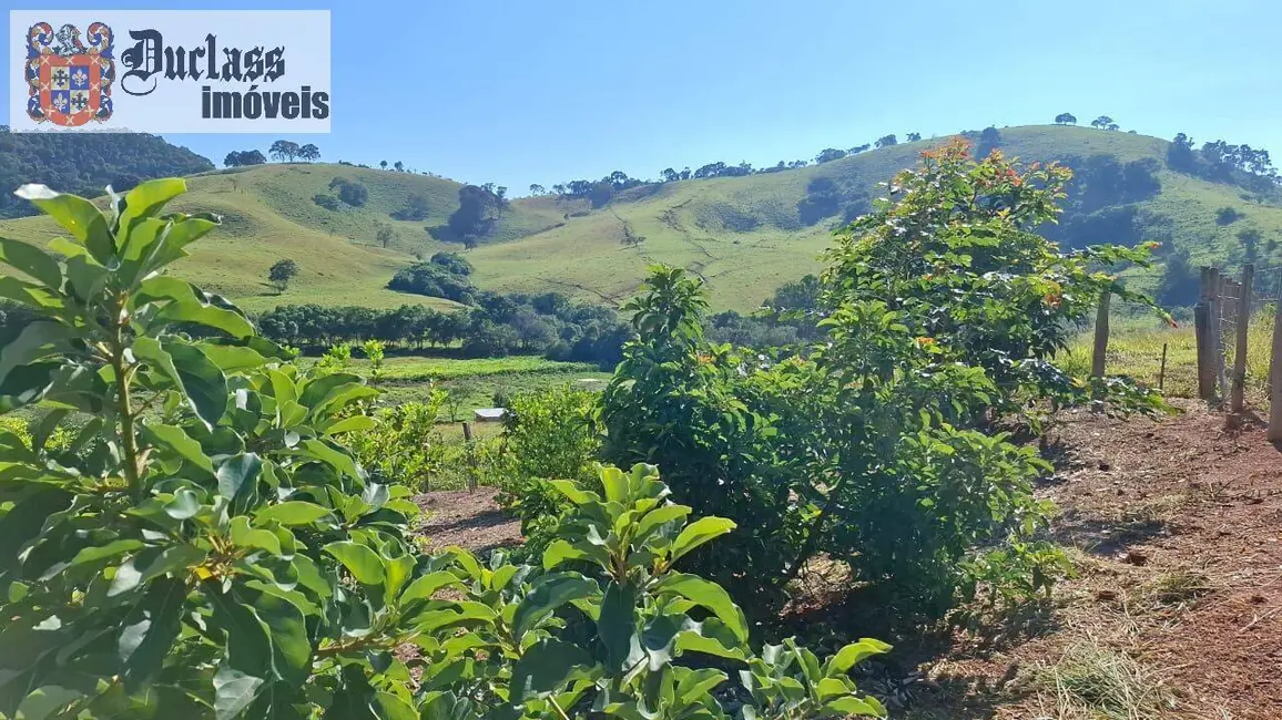 Foto 7 de Chácara com 2 quartos à venda, 5938m2 em Cambui - MG