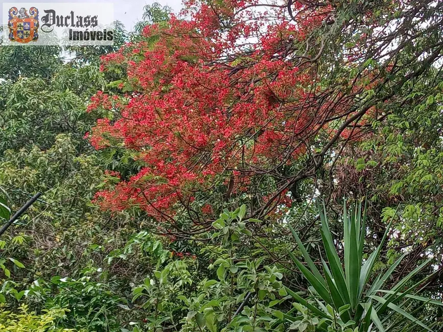 Chácara com 5 quartos à venda, 350m2 em Holambra - SP - imagem 7 Foto 7 de Chácara com 5 quartos à venda, 350m2 em Holambra - SP