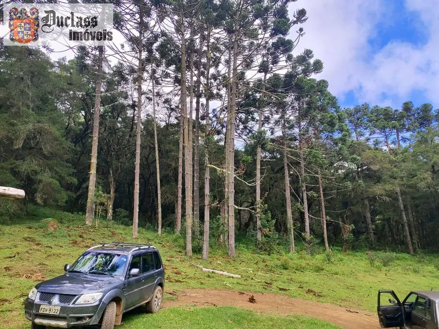 Foto 9 de Sítio / Rancho à venda, 60500m2 em Camanducaia - MG