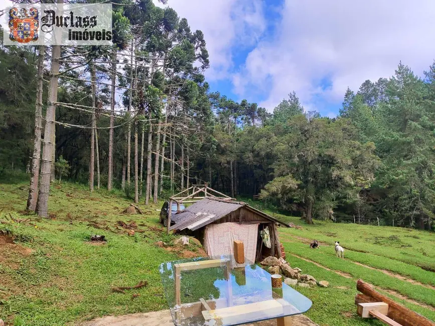 Foto 3 de Sítio / Rancho à venda, 60500m2 em Camanducaia - MG