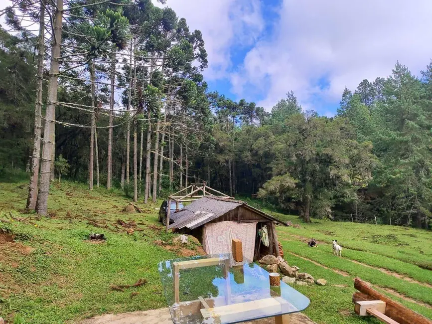 Foto 3 de Sítio / Rancho à venda, 60500m2 em Camanducaia - MG