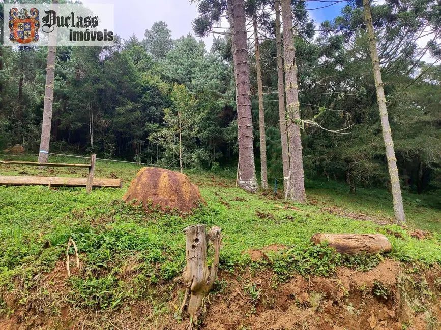 Foto 7 de Sítio / Rancho à venda, 60500m2 em Camanducaia - MG