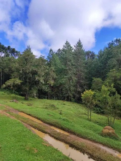 Foto 8 de Sítio / Rancho à venda, 60500m2 em Camanducaia - MG