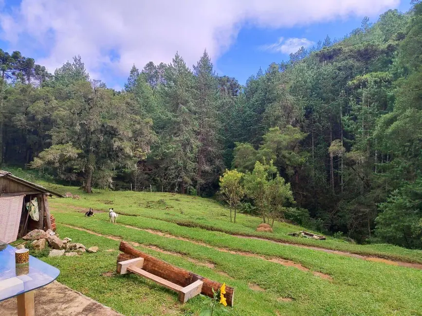 Foto 6 de Sítio / Rancho à venda, 60500m2 em Camanducaia - MG