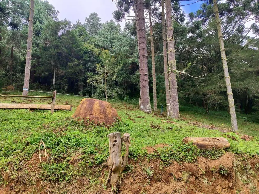 Foto 7 de Sítio / Rancho à venda, 60500m2 em Camanducaia - MG