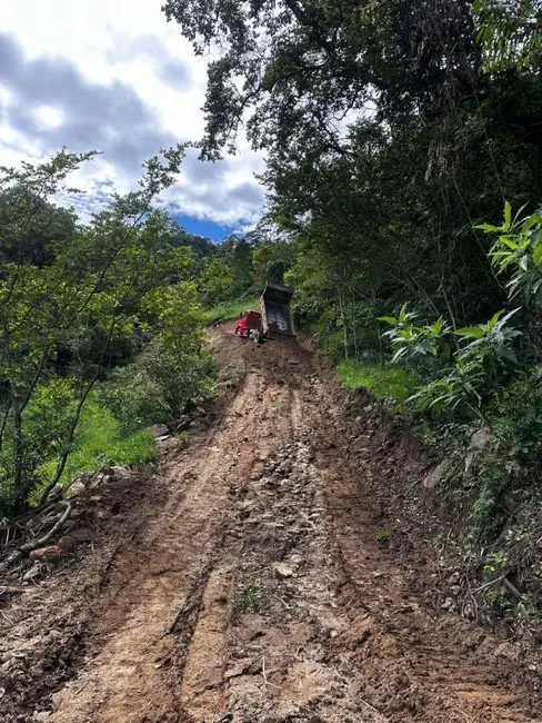 Sala Comercial à venda, 60000m2 em Itapeva - MG - imagem 3 Foto 3 de Sala Comercial à venda, 60000m2 em Itapeva - MG