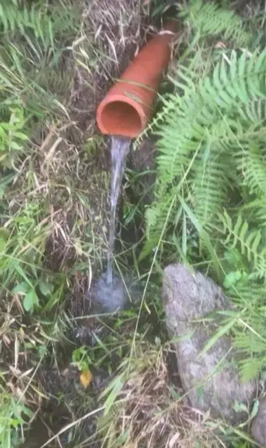 Sala Comercial à venda, 60000m2 em Itapeva - MG - imagem 5 Foto 5 de Sala Comercial à venda, 60000m2 em Itapeva - MG