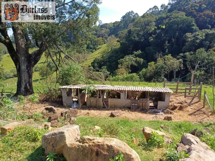 Foto 6 de Chácara com 4 quartos à venda, 18393m2 em Pedra Bela - SP