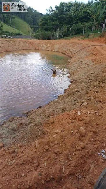Foto 7 de Chácara com 4 quartos à venda, 18393m2 em Pedra Bela - SP