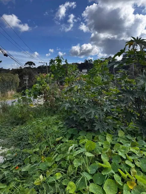 Foto 1 de Terreno / Lote à venda, 850m2 em Campos Do Jordao - SP