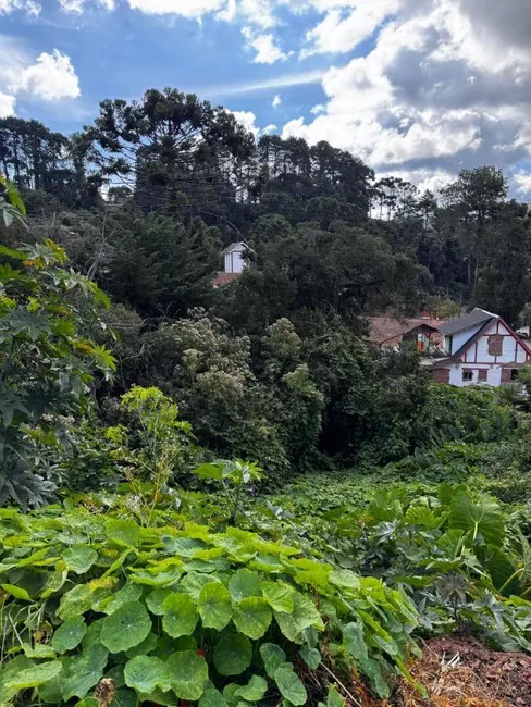 Foto 2 de Terreno / Lote à venda, 850m2 em Campos Do Jordao - SP