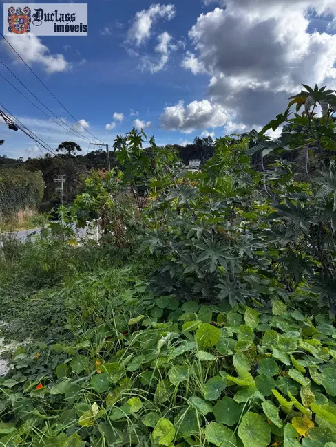 Foto 1 de Terreno / Lote à venda, 850m2 em Campos Do Jordao - SP