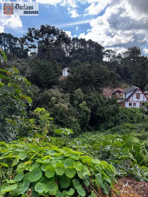 Foto 2 de Terreno / Lote à venda, 850m2 em Campos Do Jordao - SP