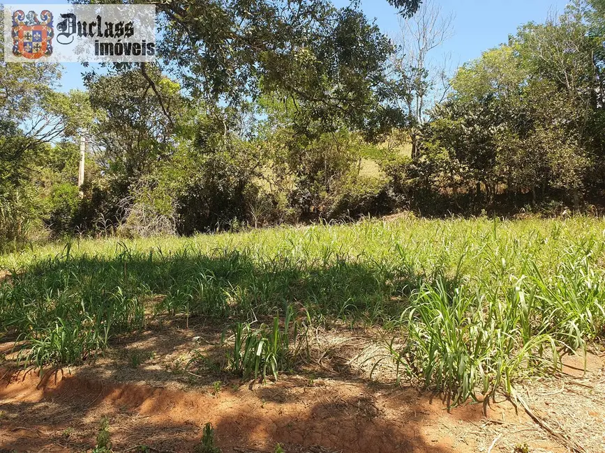 Foto 7 de Sítio / Rancho com 6 quartos à venda, 25400m2 em Cambui - MG