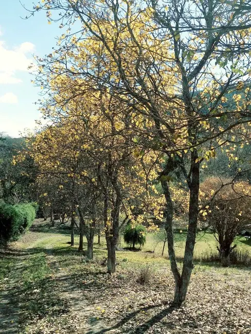 Foto 7 de Chácara com 2 quartos à venda, 98m2 em Extrema - MG