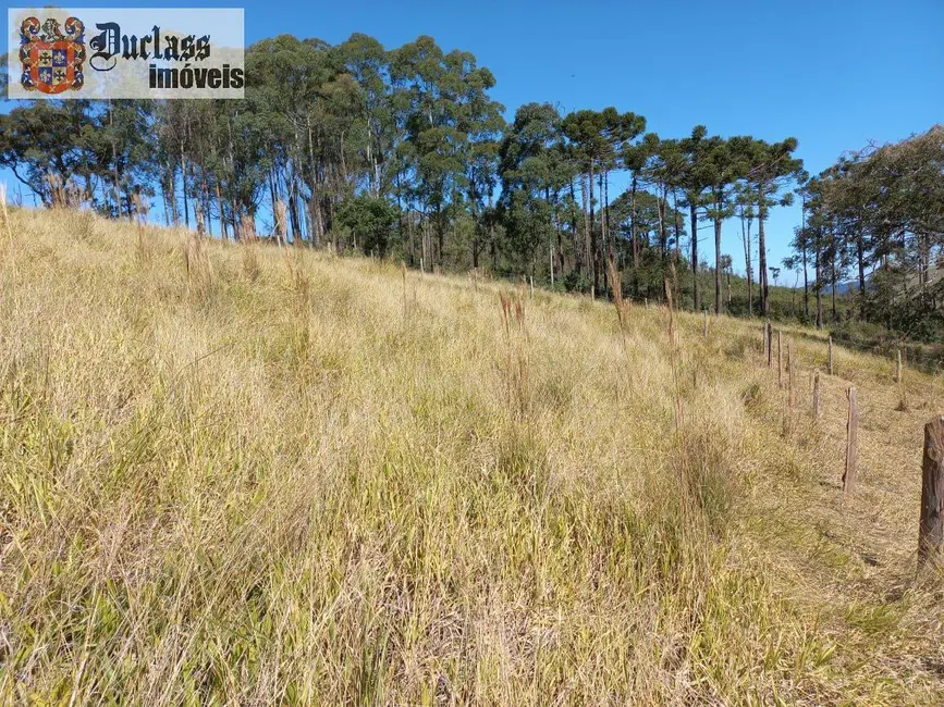 Foto 14 de Chácara à venda, 6050m2 em Extrema - MG