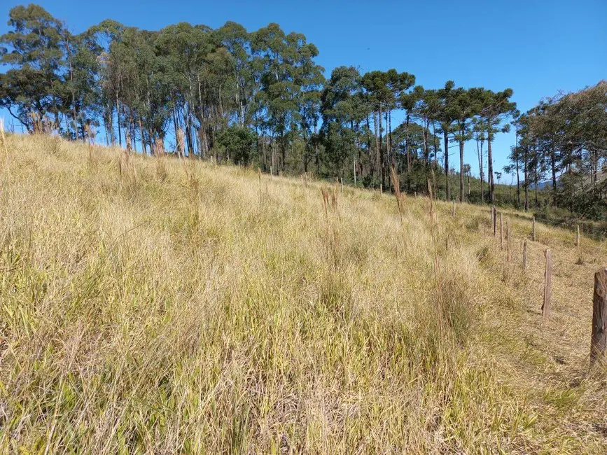 Foto 6 de Sala Comercial à venda, 6050m2 em Extrema - MG