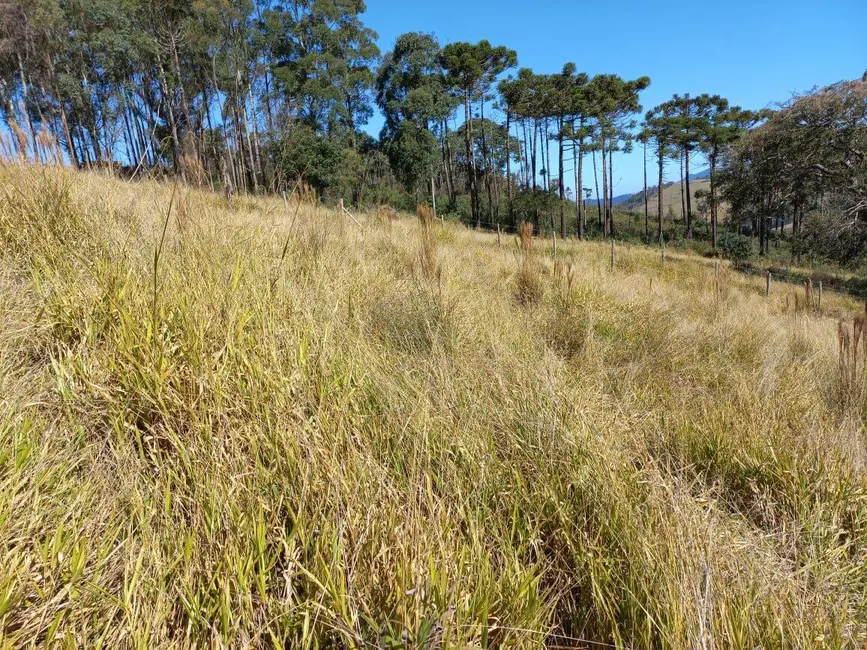 Foto 3 de Sala Comercial à venda, 6050m2 em Extrema - MG
