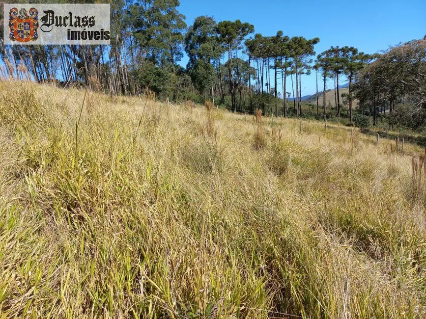 Chácara à venda, 6050m2 em Extrema - MG - imagem 5 Foto 5 de Chácara à venda, 6050m2 em Extrema - MG