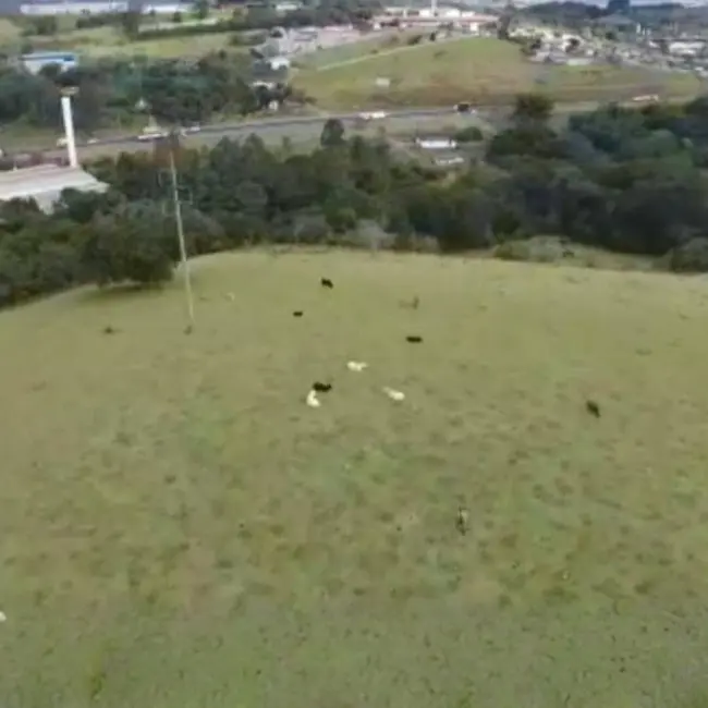 Foto 4 de Sala Comercial à venda, 18000m2 em Extrema - MG