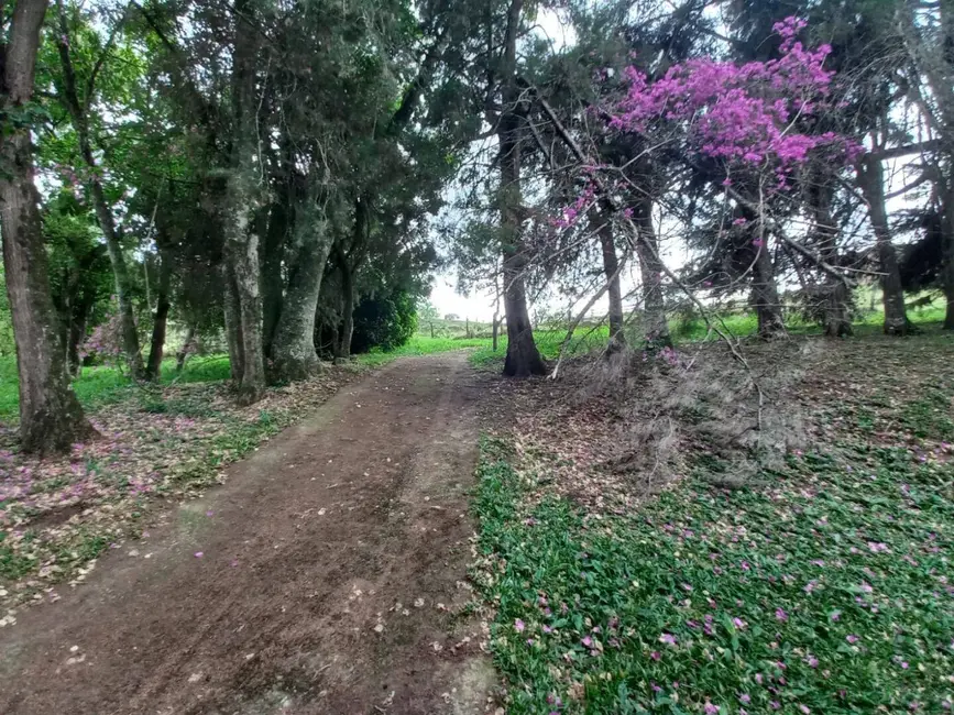 Foto 7 de Sala Comercial à venda, 21140m2 em Extrema - MG