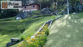 Imagem 8