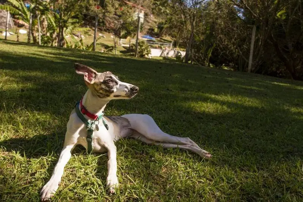 Foto 20 de Pousada à venda, 1000m2 em Itapeva - MG