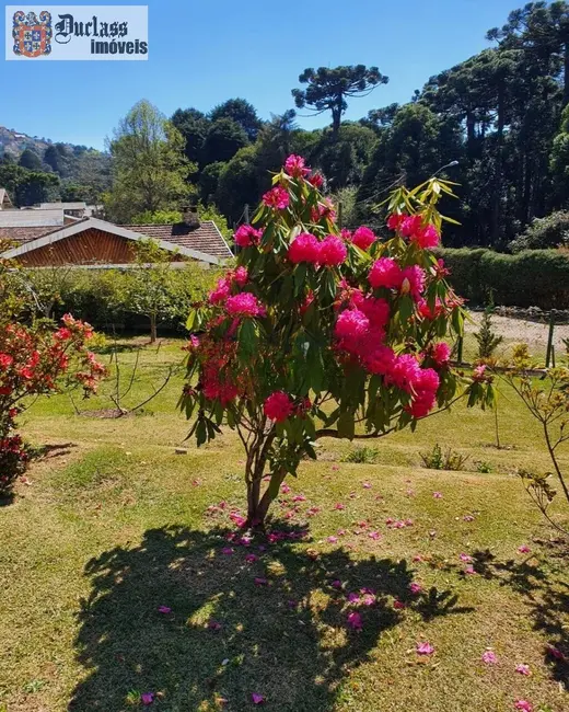 Foto 6 de Casa com 3 quartos à venda, 235m2 em Campos Do Jordao - SP