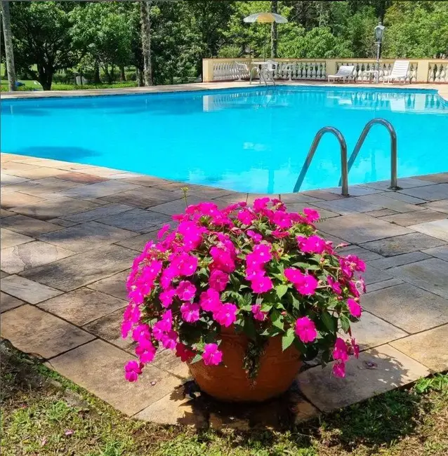 Foto 6 de Sítio / Rancho com 3 quartos à venda, 95000m2 em Parque Rio Abaixo, Atibaia - SP