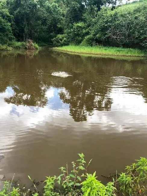 Foto 6 de Fazenda / Haras à venda, 2178000m2 em Jambeiro - SP