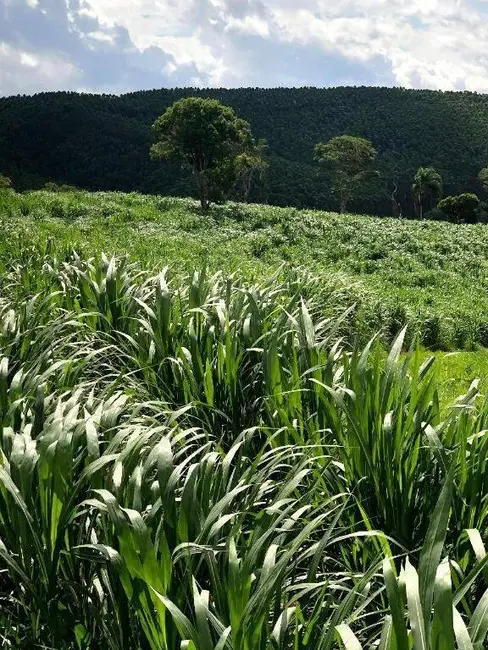 Foto 3 de Fazenda / Haras à venda, 2178000m2 em Jambeiro - SP