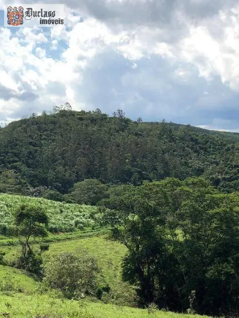 Foto 7 de Fazenda / Haras à venda, 2178000m2 em Jambeiro - SP