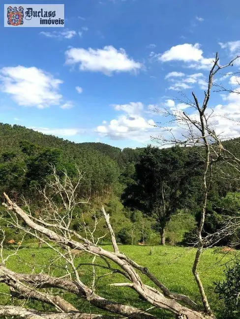 Foto 9 de Fazenda / Haras à venda, 2178000m2 em Jambeiro - SP