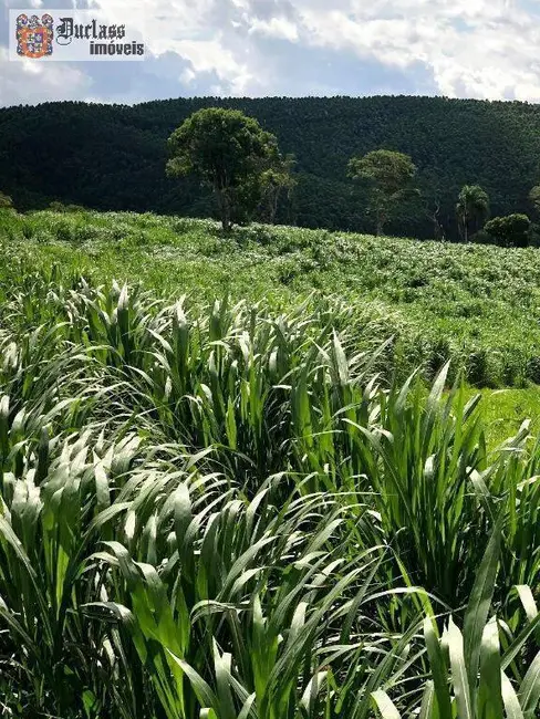 Foto 4 de Fazenda / Haras à venda, 2178000m2 em Jambeiro - SP