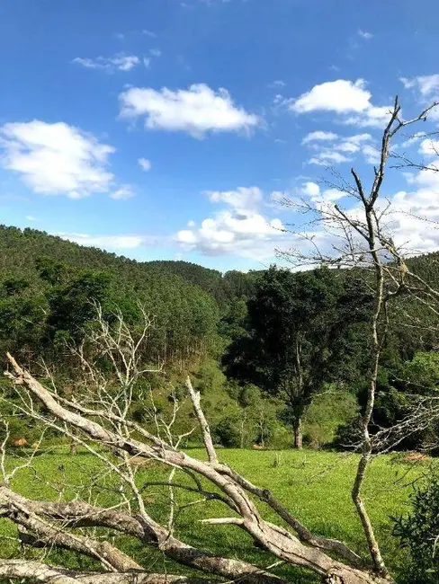 Foto 9 de Fazenda / Haras à venda, 2178000m2 em Jambeiro - SP